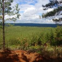 Scenic view looking west, across more Albama Graphite mineral-lease property, from the northwest corner of the Coosa Graphite Project resource area