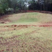 Coosa Graphite Project drill pad reclamation with a seeded erosion blanket used to protect the slope and a wildlife seed mixture of wheat, rye and clover to re-vegetate the site.