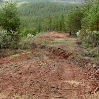 Refilled trench right-of-way within the Coosa Graphite Project resource area, which was able to be converted to a drill road