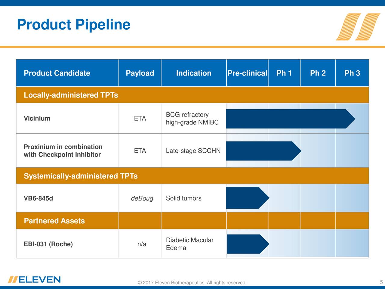 Eleven Biotherapeutics (EBIO) Presents At 19th Annual BIO CEO ...